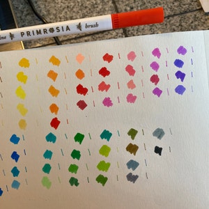 Primrosia 60 Dual Tip Watercolor Markers, Fine and Brush Tips Pens -   Australia